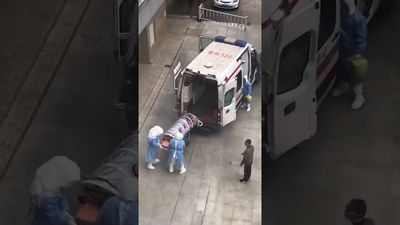 Зика подозревается в шести смертельных случаях в Гондурасе